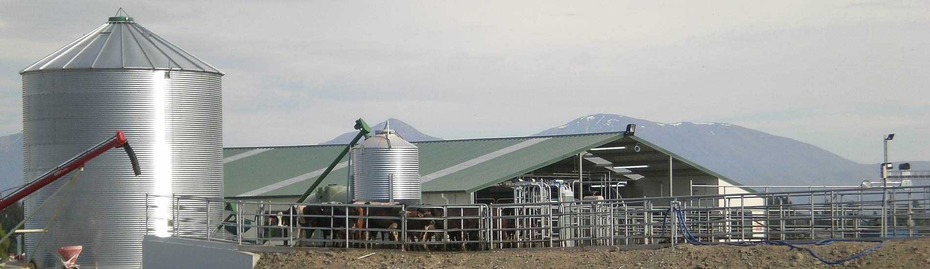 Coles farms Home Coles Farms